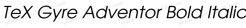 TeX Gyre Adventor Bold Italic字体转换